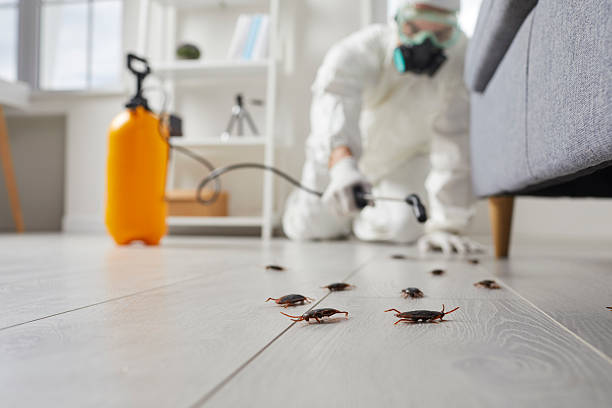 Commercial Kitchen Cockroach Control in Clay City